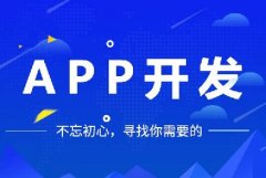 開發(fā)一個app多少錢？