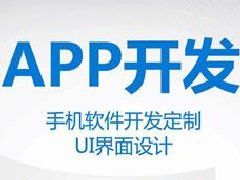 APP軟件開發(fā)工具-PWA